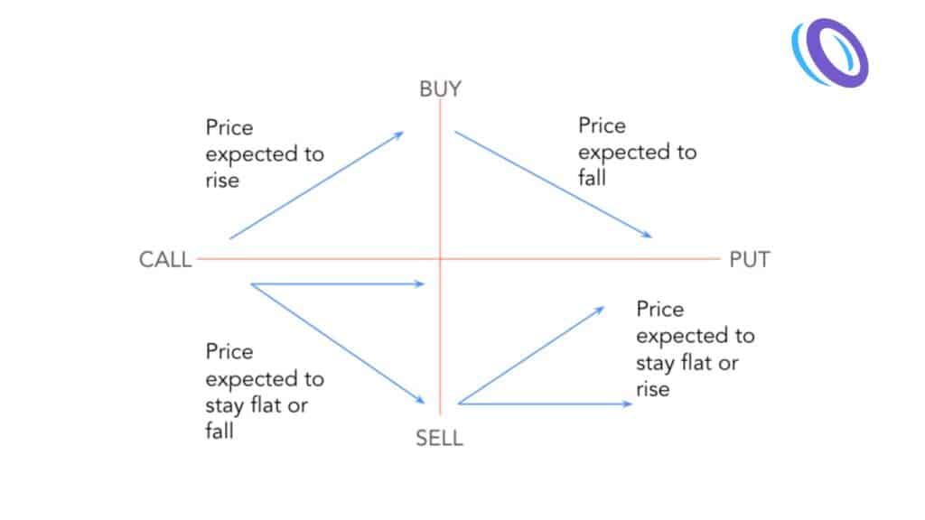 Options dimensions